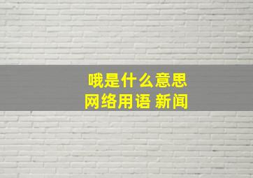 哦是什么意思网络用语 新闻